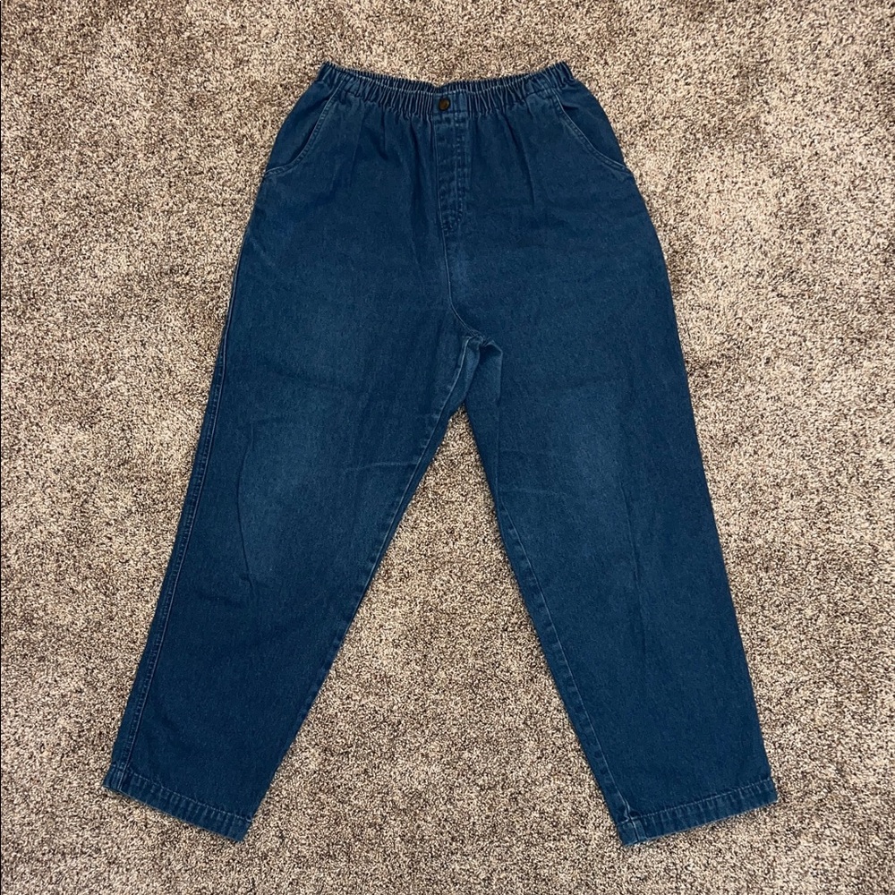 Women’s Allison & Co Blue Denim Elastic Waist Plus Size Jeans